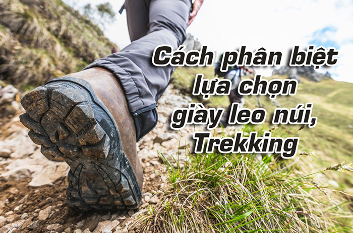 Phân Biệt Lốp Bố Thép và Bố Vải: Lựa Chọn Tối Ưu Cho Mọi Chuyến Đi