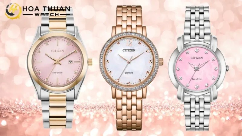 Giá Bán Dây Thép Gai: Cập Nhật Mới Nhất & Kinh Nghiệm Chọn Mua