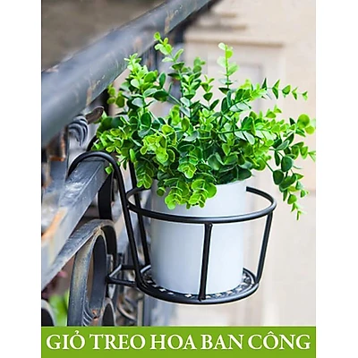 Giỏ Treo Hoa Ban Công Thương Hiệu Monrovia: Điểm Nhấn Sang Trọng Cho Không Gian Xanh Của Bạn