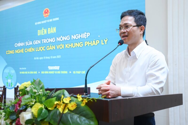 Khung Máy Cắt Sắt Bàn Cũ: Lựa Chọn Thông Minh Cho Ngân Sách Hạn Hẹp