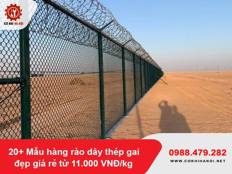 Hàng rào dây thép gai kết hợp lưới thép