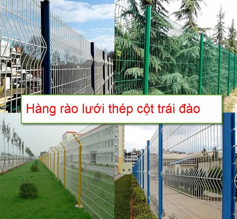Hàng rào lưới hàn cột trái đào