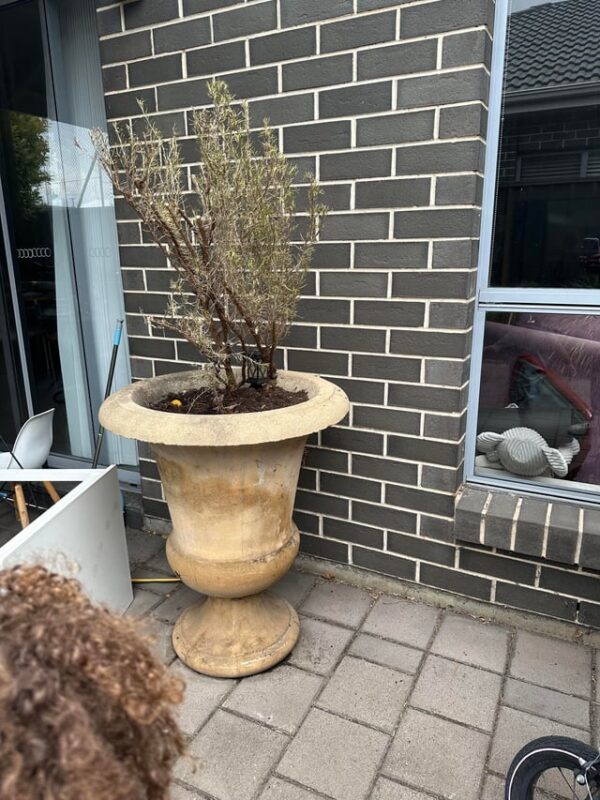 Bê Tông Tươi Bao Lâu Thì Khô? Hướng Dẫn Chi Tiết Từ Chuyên Gia