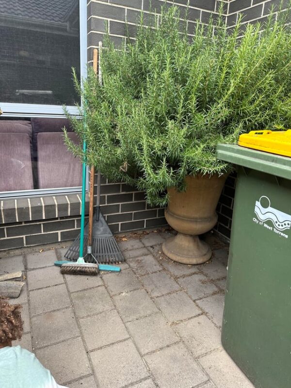 Bê Tông Tươi Bao Lâu Thì Khô? Hướng Dẫn Chi Tiết Từ Chuyên Gia