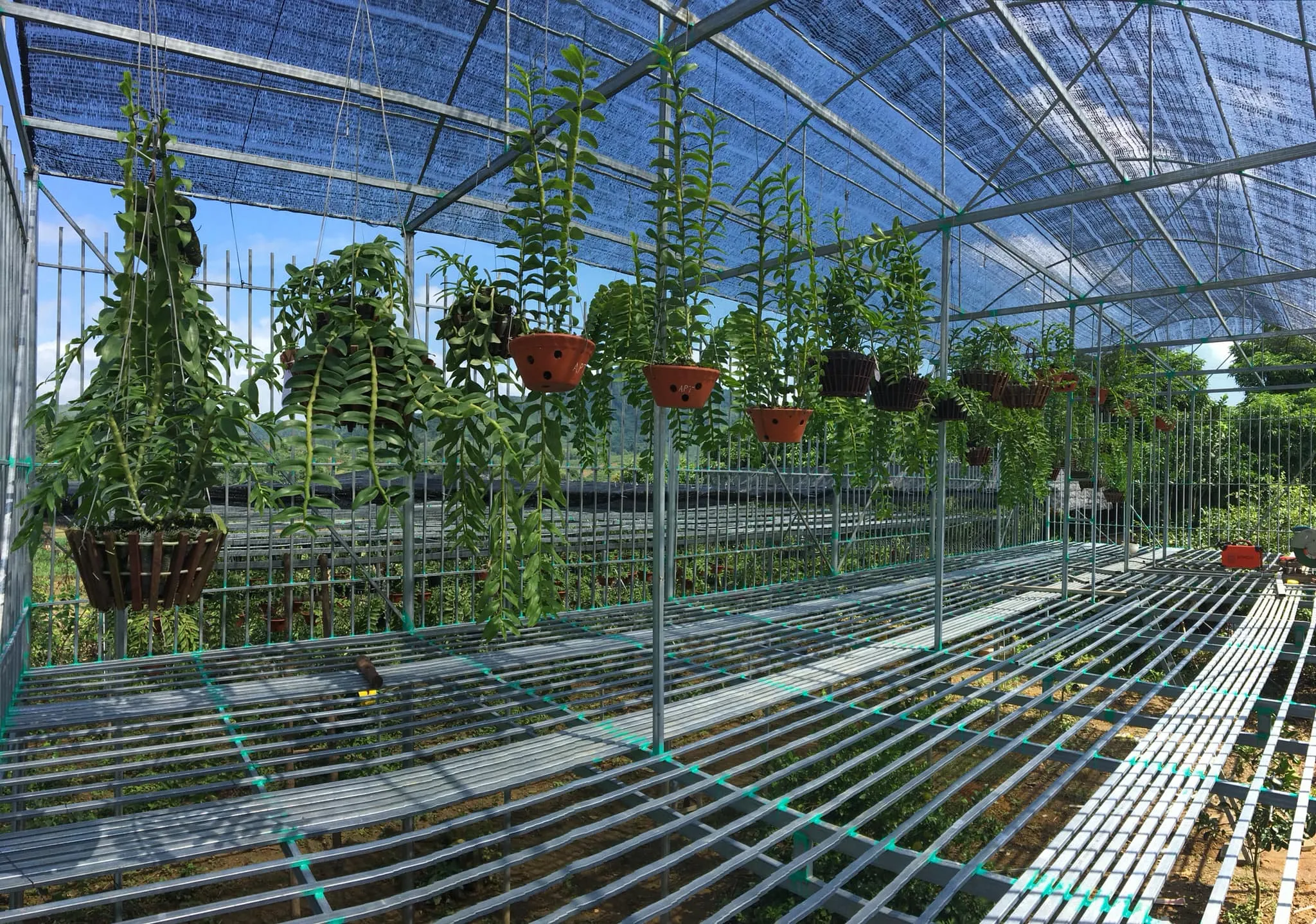 hinh anh cac loai nha co trong xay dung tai viet nam pho bien nhat so 5