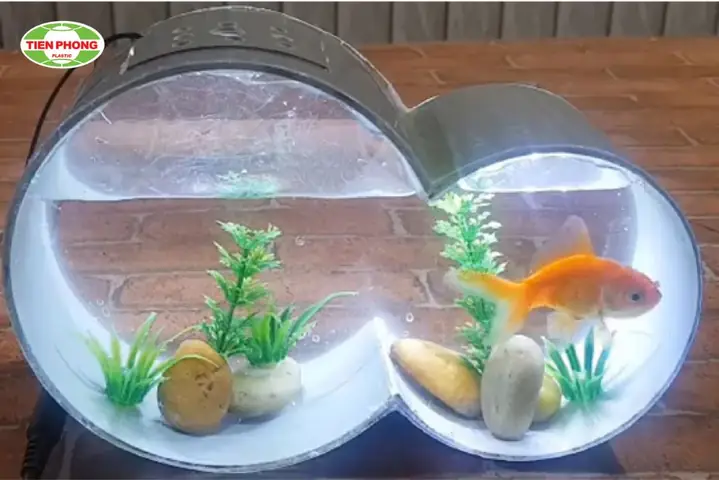 Hướng Dẫn Chi Tiết Cách Làm Bể Cá Bằng Ống Nhựa PVC Độc Đáo và Tiết Kiệm