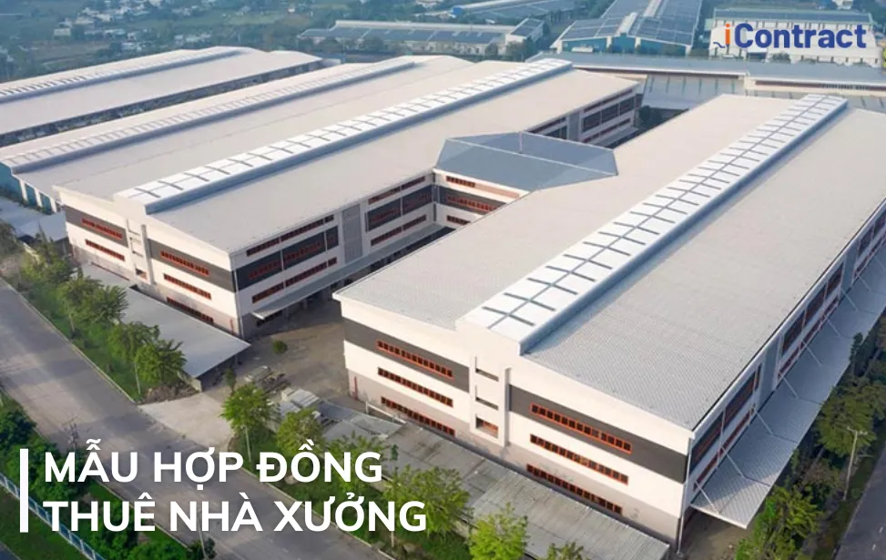hợp đồng thuê xưởng 3