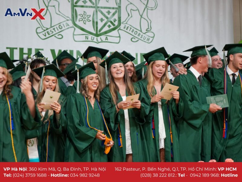 Tổng Quan Chương Trình Học Lớp 8: Hướng Dẫn Chi Tiết Cho Học Sinh