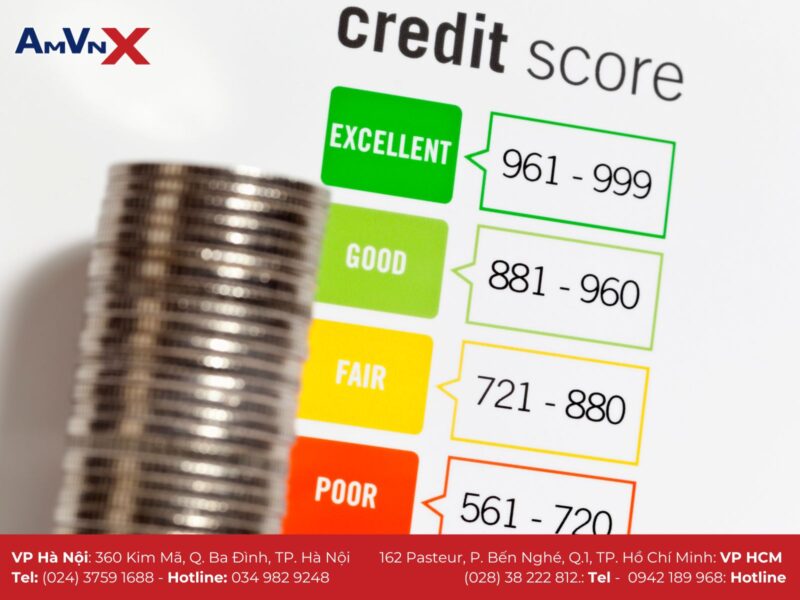 Hướng Dẫn Chi Tiết Cách Bố Trí Thép Móng Cọc Chuẩn Xác & Tối Ưu