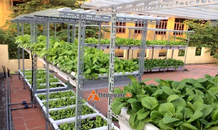 Khám Phá Thế Giới Kệ Sắt V Lỗ Giá Rẻ: Giải Pháp Lưu Trữ Tối Ưu Cho Mọi Doanh Nghiệp