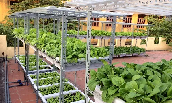 Ước lượng kích thước và vật liệu cho kệ sắt V lỗ trồng rau