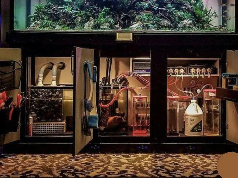 Hệ thống lọc trần dưới bể cá