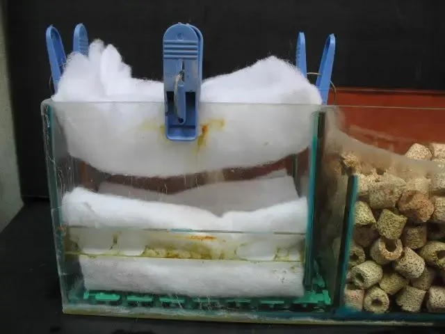 Ngăn 1 lọc tràn với bông lọc nhiều lớp và tấm nhựa thoát nước