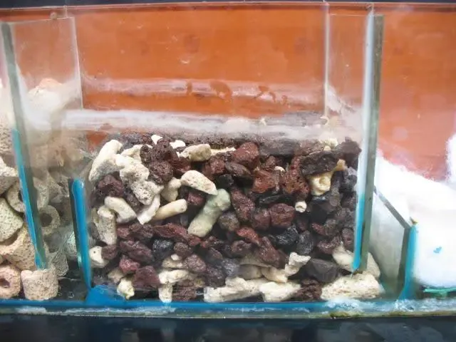 Ngăn 3 chứa hỗn hợp nham thạch đen và san hô vụn