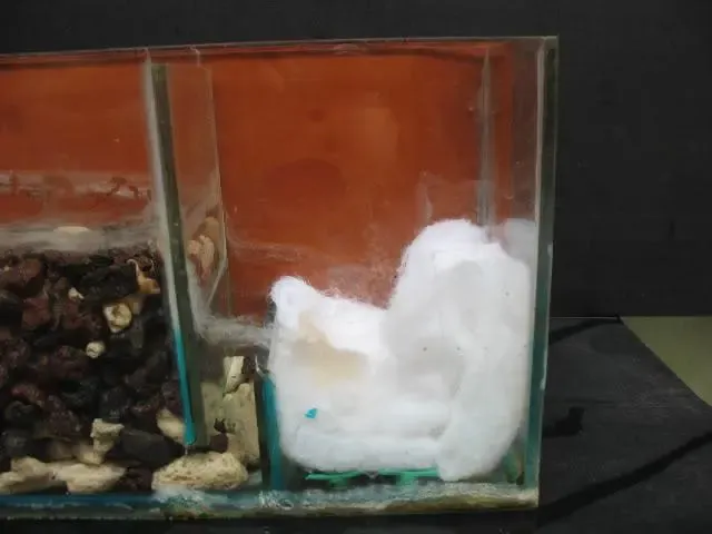 Ngăn 4 để trống hoặc chỉ có tấm nhựa và bông mỏng