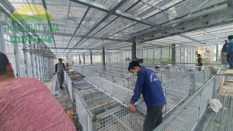 Tấm lưới thép mạ kẽm làm hàng rào an ninh cho giàn lan