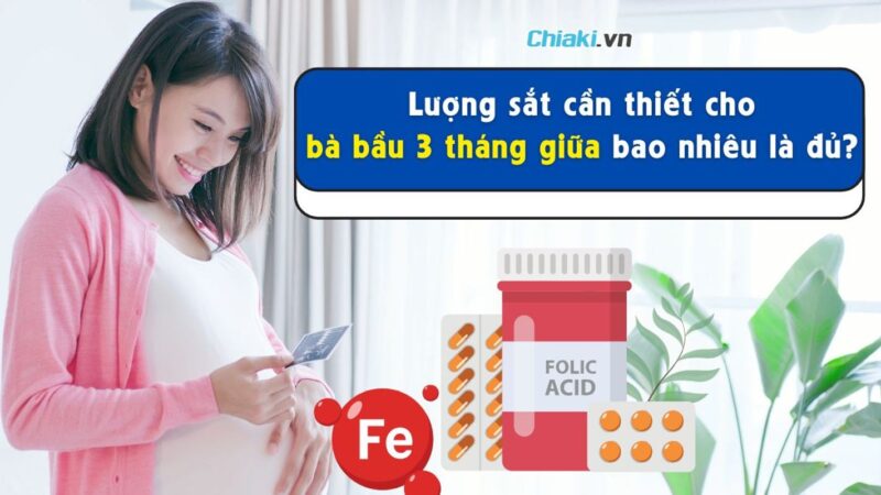 Lượng Sắt Cần Thiết Cho Bà Bầu 3 Tháng Giữa: Hướng Dẫn Chi Tiết