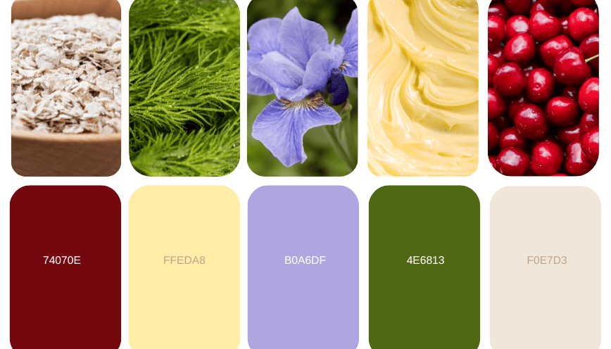 Khám Phá Chi Tiết Bản Vẽ Nhà Xưởng Khung Thép: Tiêu Chuẩn & Ứng Dụng