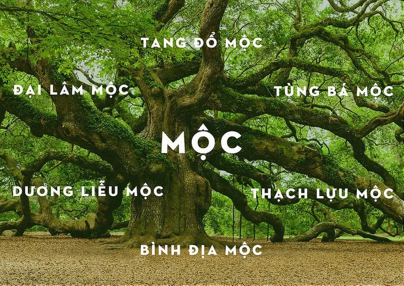 màu sắc theo phong thuỷ