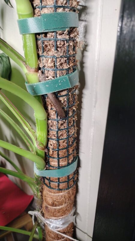 Lưới Thép Bọc Nhựa Giá Bao Nhiêu - Cẩm Nang Chi Tiết & Báo Giá Mới Nhất