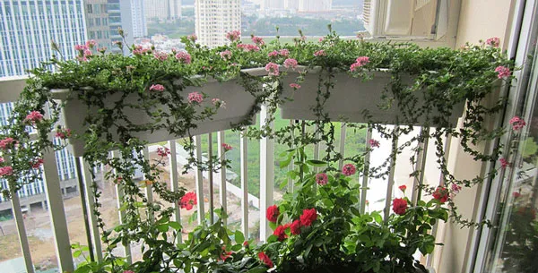 Móc treo chậu hoa dạng chữ nhật cho lan can ban công chung cư