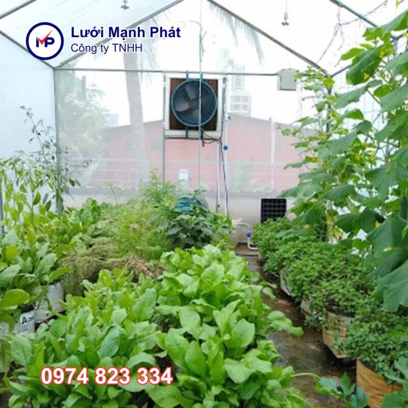 Lưới Sắt Lỗ Tròn Nhỏ: Hướng Dẫn Chi Tiết Từ A-Z Về Sản Phẩm Đa Năng