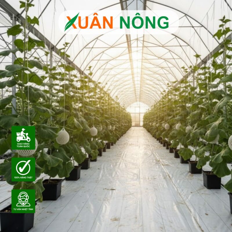 Lưới Thép Đan Mạ Kẽm: Hướng Dẫn Chi Tiết Từ A-Z