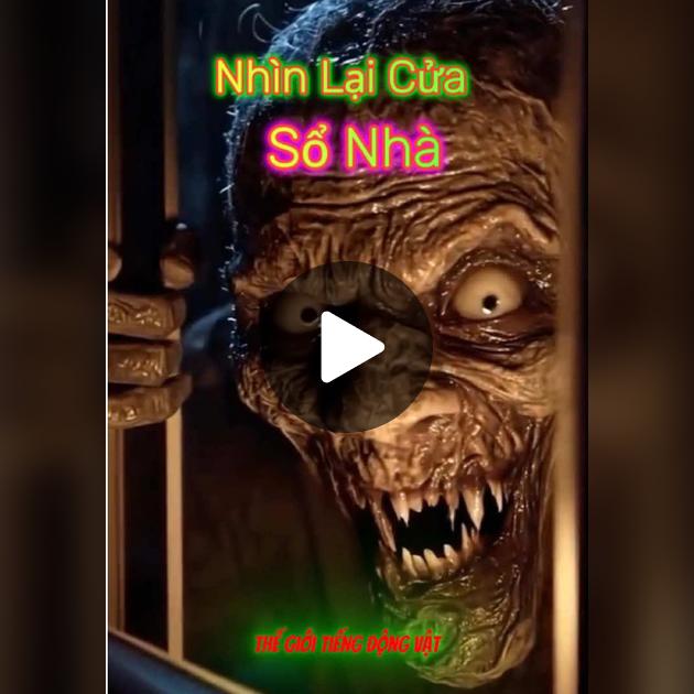 Tiếng Sủa Của Chó Becgie: Khám Phá Bản Chất, Ý Nghĩa Và Cách Nuôi Dưỡng Hiệu Quả