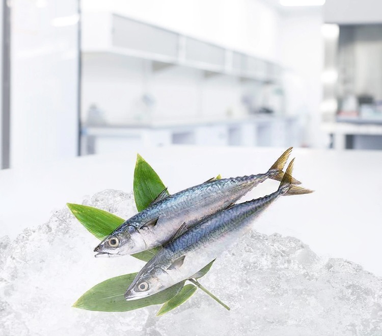 Cá Bào: Tinh Hoa Ẩm Thực Biển Cả Từ Truyền Thống Đến Hiện Đại