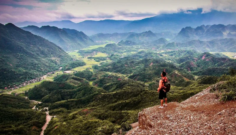 Khám Phá Địa Chỉ Mua Két Sắt Việt Tiệp Chính Hãng, Giá Tốt Toàn Quốc