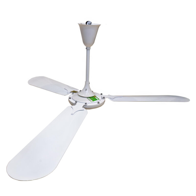 Quạt Trần Vinawind QT-1400S: Giải Pháp Làm Mát Hiệu Quả Cho Không Gian Đông Người