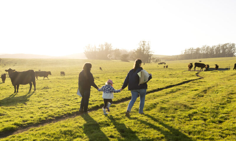 Các Cuộc Cách Mạng Công Nghiệp: Lịch Sử, Tác Động và Tương Lai