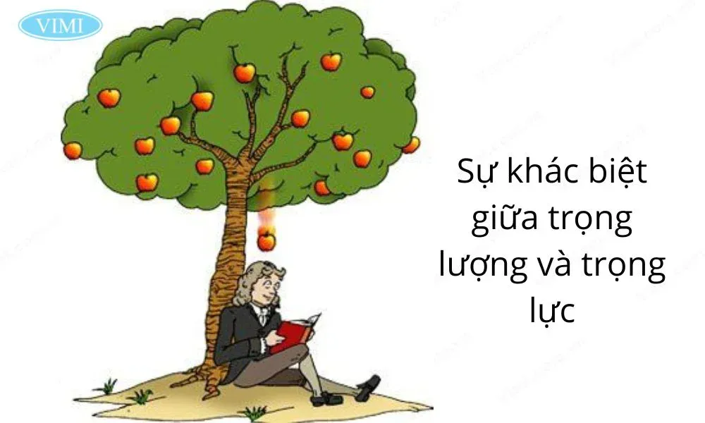 So sánh trọng lực và trọng lượng