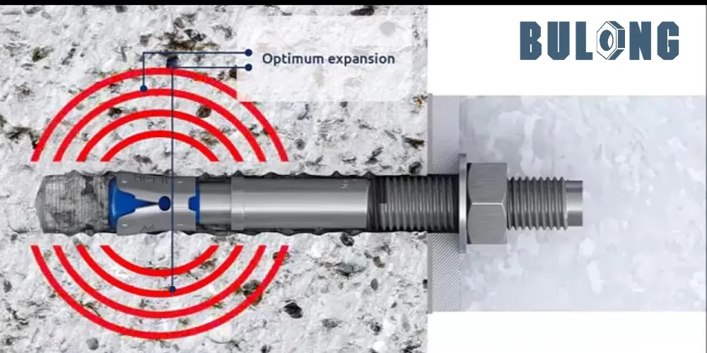 Cấu tạo chi tiết của tắc kê sắt