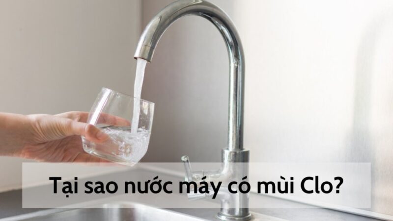 Hướng Dẫn Chi Tiết Quy Trình Mua Hàng Thép Tại Công Ty Đại Phát Lộc