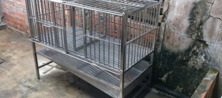 Mua Bán Chuồng Chó Inox Cũ Hà Nội: Hướng Dẫn Toàn Diện Cho Người Tìm Kiếm