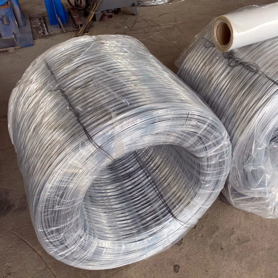 Các cuộn dây thép thành phẩm sẵn sàng cung ứng cho thị trường năm 2026