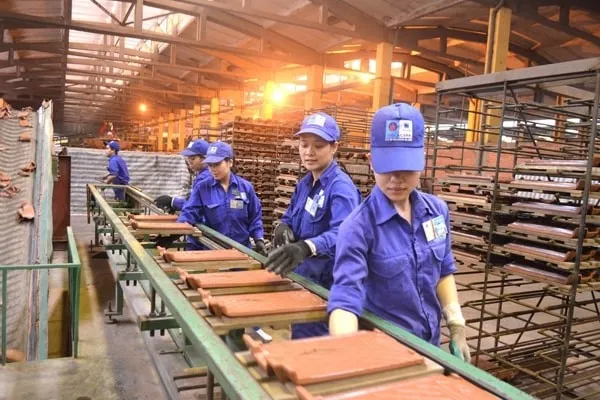 Showroom gạch Viglacera