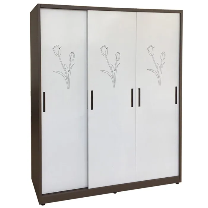 Tủ đựng quần áo TU19B3C3