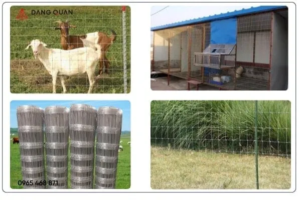 Ứng dụng hàng rào lưới thép hàn mạ kẽm