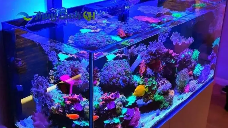 Cần kiểm tra độ pH nước thường xuyên để theo dõi hiệu quả của vật liệu lọc