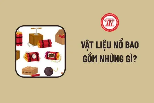 Vật liệu nổ bao gồm những gì? Nguyên tắc quản lý, sử dụng vũ khí, vật liệu nổ, tiền chất thuốc nổ, công cụ hỗ trợ là gì?
