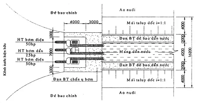 Hướng Dẫn Toàn Diện: Xây Ao Nuôi Cá Diêu Hồng Trong Ao Bê Tông – Chìa Khóa Thành Công Bền Vững
